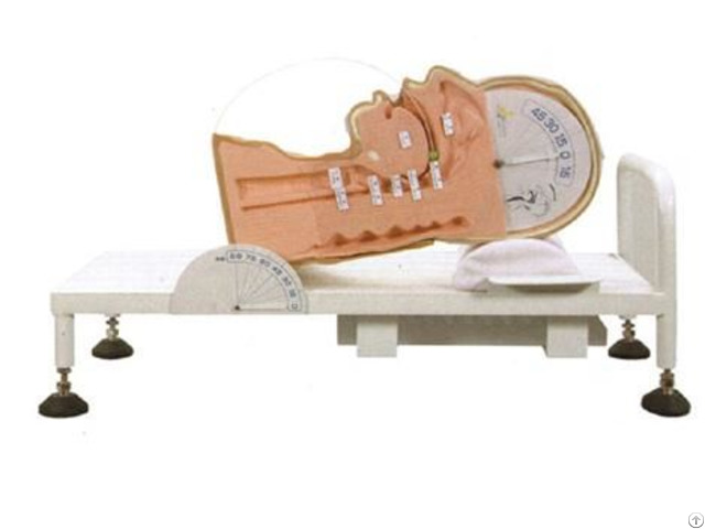 Jy H 0008 Swallow Mechanism Simulator