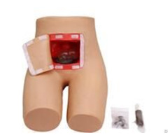 Jy H 0023 Enema And Assisted Defecation Training Simulator