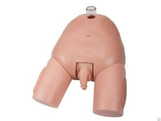 Jy H 0020 Bladder Puncture Simulator