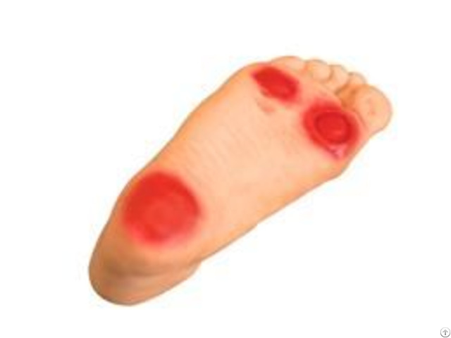 Jy H 0029 Diabetic Foot Nursing Simulator