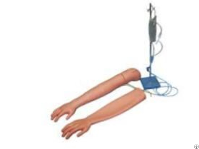 Jy H 1003 Venipuncture And Intramuscular Injection Arm