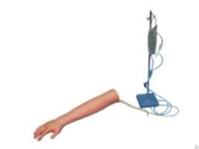 Jy H 5020 Advanced Elder Venipuncture Trainingarm