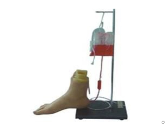 Jy H 1026 Vein Injection Foot