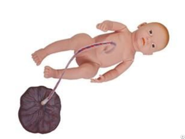 Jy H 402 Neonatal Umbilical Cord Nursing Manikin