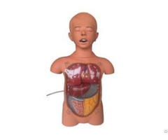 Jy H 2032 Child Transparent Gastric Lavage Model