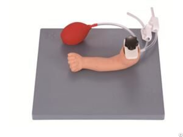 Jy H 3036 Advanced Infant Arteriopuncture Training Arm