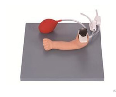 Jy H 3036 Advanced Infant Arteriopuncture Training Arm