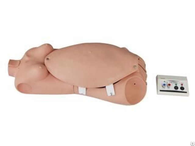 Jy F 0001 Maternal Simulator