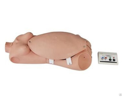 Jy F 0001 Maternal Simulator