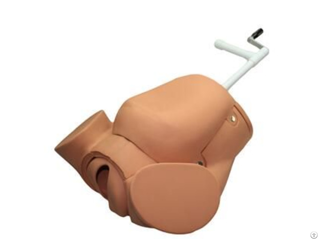 Jy F 0003 Advanced Childbirth Education Training Simulator