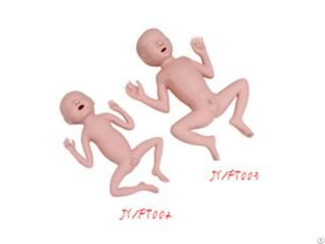 Jy Ft002 24 30 Weeks Premature Infant Model