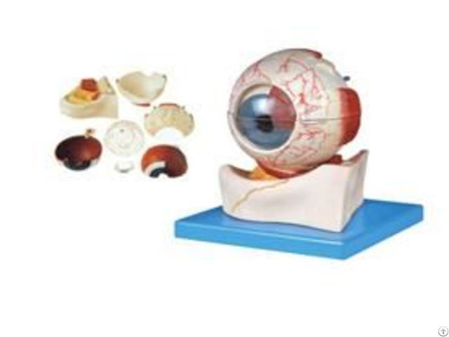 Jy A6032 Eyeball