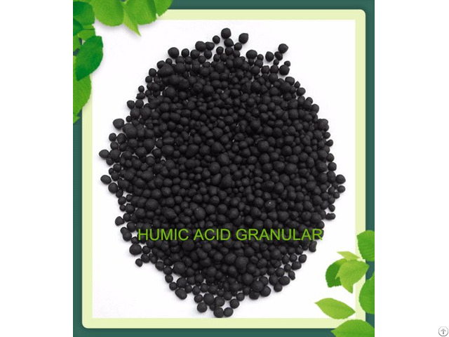 Humic Acid Soil Amendment Organic Fertilizer