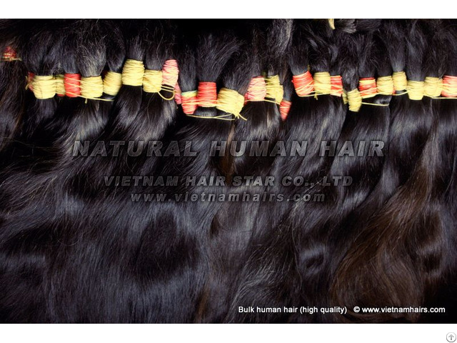 100 Percent Virgin Human Hair With The Best Price Supplier