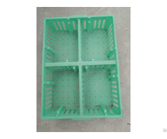 Baby Chicks Crates Plastic Coops
