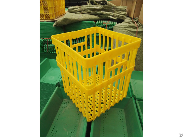 Plastic Crates For Egg Transportation 180 Eggs