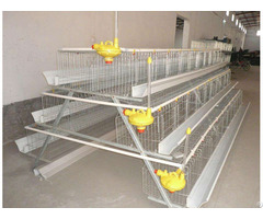 A Type Automatic Chicken Duck Cages