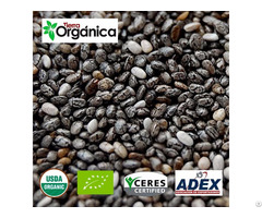 Chia Organic And Conventional