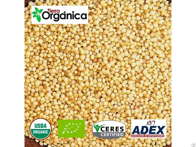 Amaranth Organic And Conventional