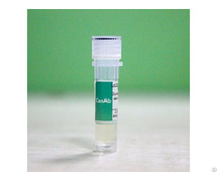 Recombinant Ralstonia Solanacearum Kdpb