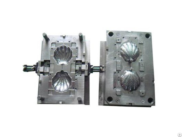 Shell Plastic Injection Mold Maker