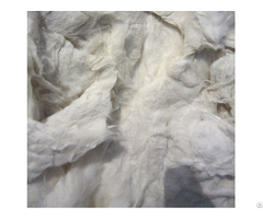 Cotton Pneumafil