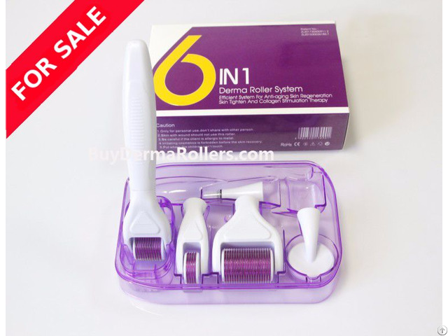 Derma Roller 12 300 720 1200 Needles Titanium Micro Needle Therapy Dermaroller