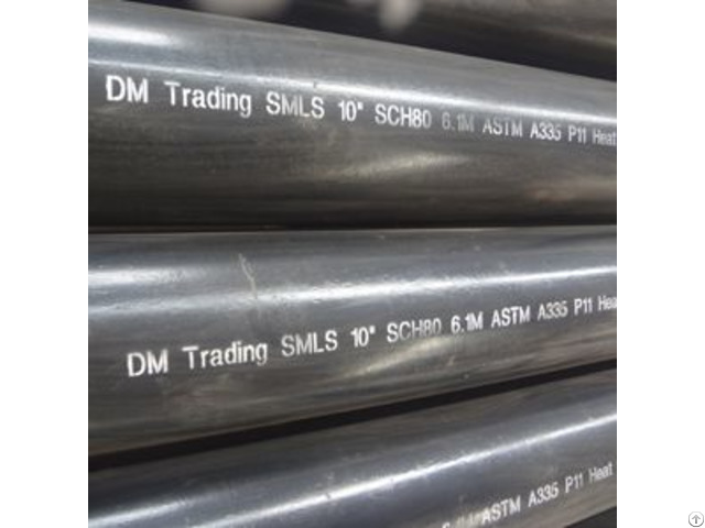 Astm A335 Hot Rolled Smls Pipe Dn250 Ansi B36 10