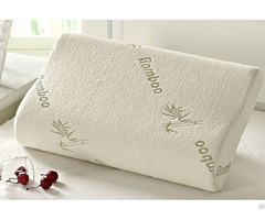 Contour Memory Foam Pillow With Bamboo Cover
