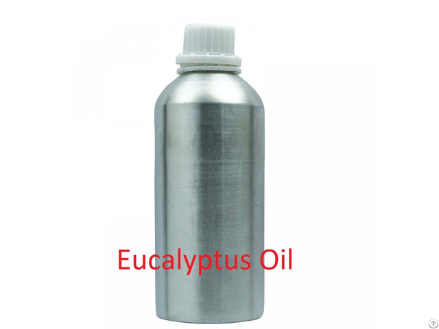 Eucalyptus Essential Oil