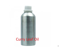 Curry Leaf Essential Oil