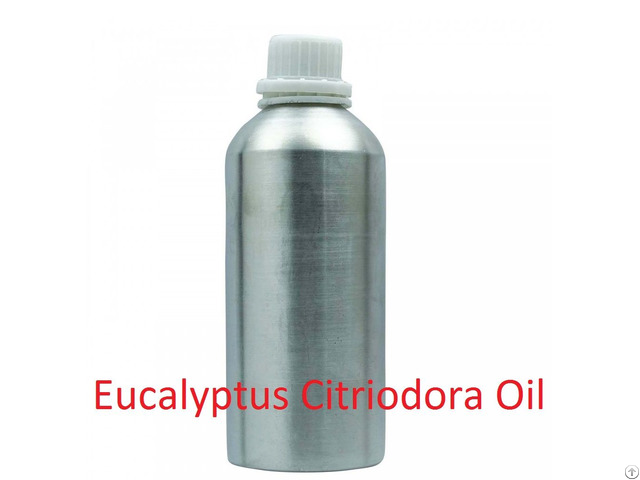 Eucalyptus Citriodora Essential Oil