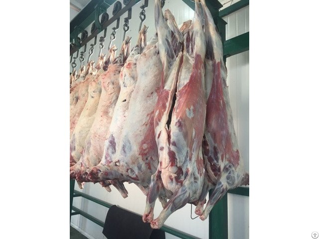 Chilled Frozen Lamb Carcasses