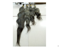 Gray Human Hair From Old Women