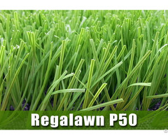 Football Grass Regalawn P50