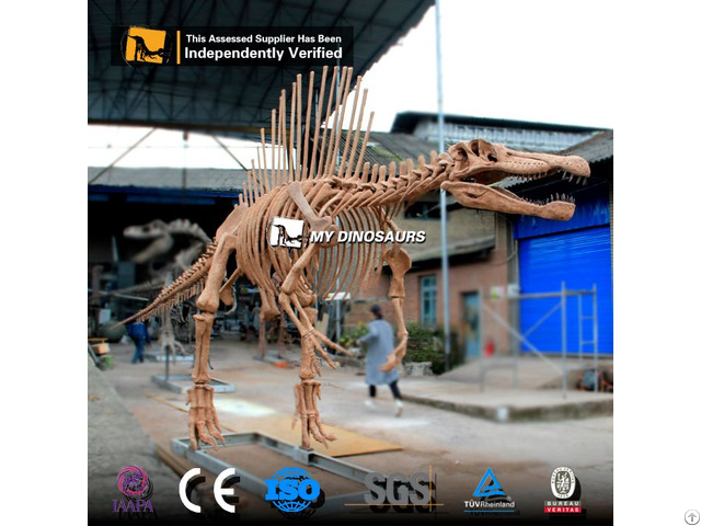 Jurassic Dinosaur World Attraction Spinosaurus Skeleton Model