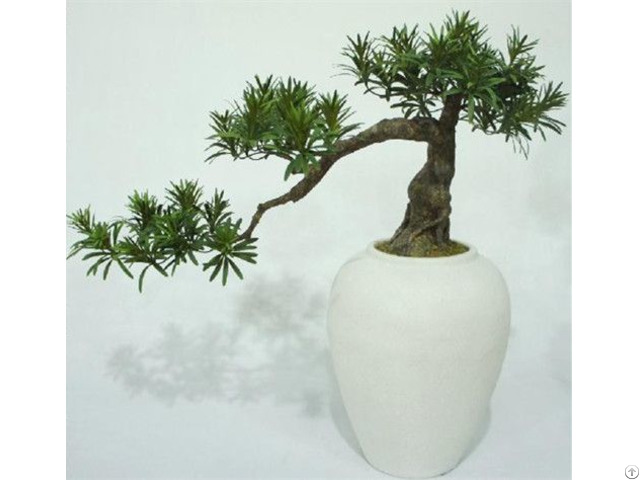 Artificial Podocarpus Bonsai Tree