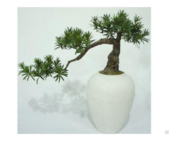 Artificial Podocarpus Bonsai Tree