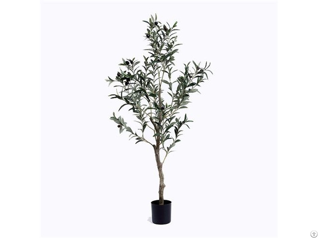 Silk Single Trunk Olive Tree