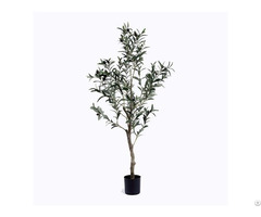 Silk Single Trunk Olive Tree