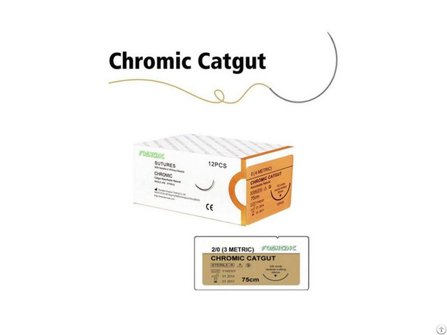 Chromic Catgut Sutures