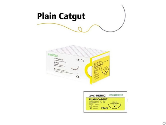 Plain Catgut Sutures