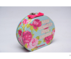 Special Shape Gift Packing Tin Can