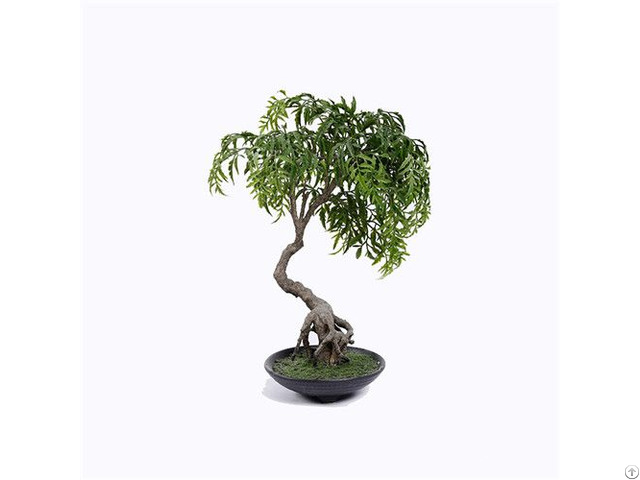 Artificial Ming Aralia Bonsai