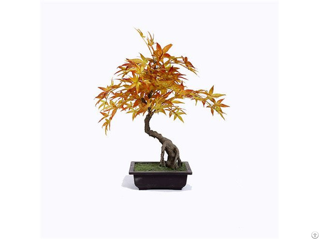 Silk Potted Maple Tree