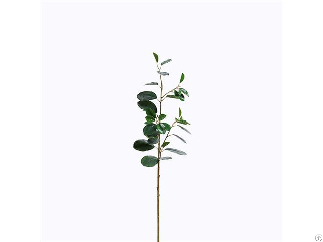 Plastic Ficus Microcarpa Foliage