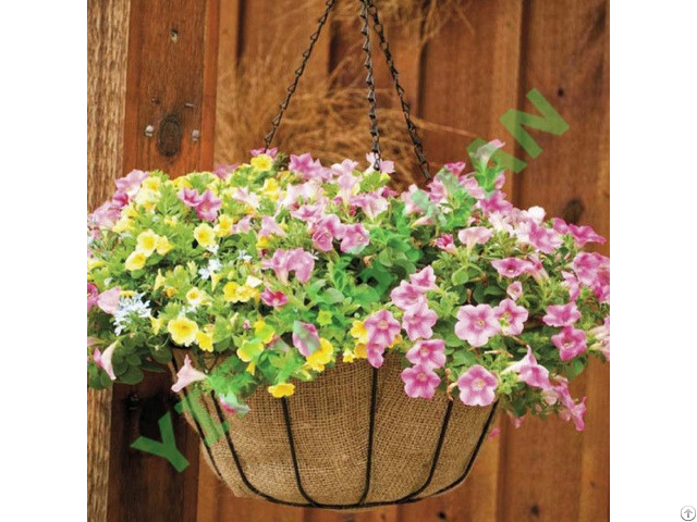 Hanging Basket1