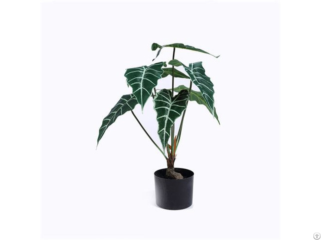 Artificial Alocasia Amazonica