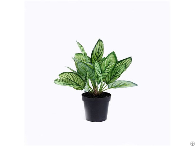 Artificial Calathea Sanderiana