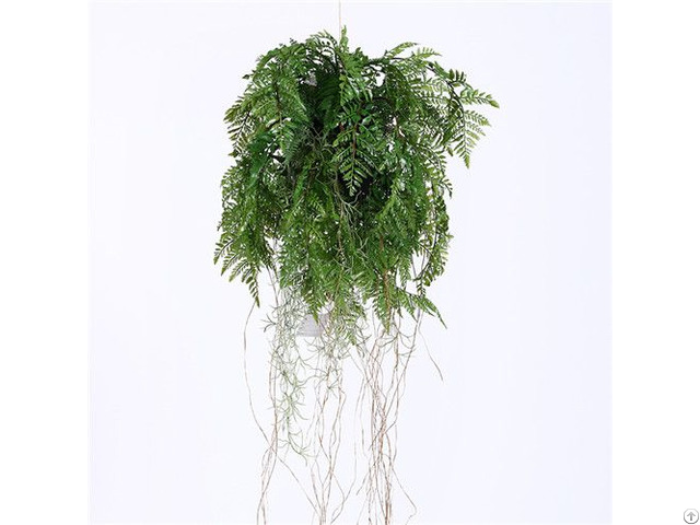 Plastic Hanging Fern Plants